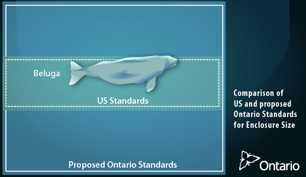 Ontario moving forward with stronger marine mammal laws