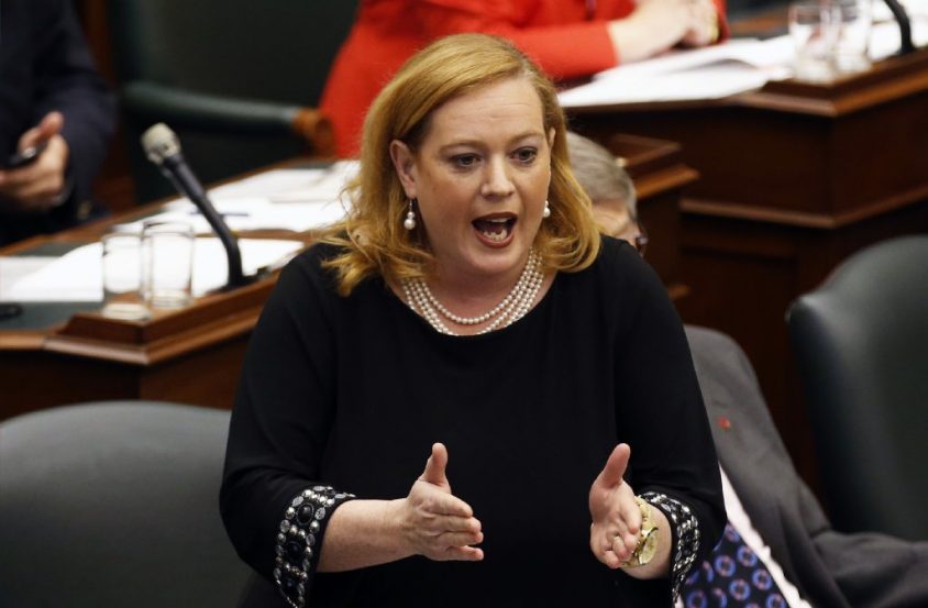 Ontario cabinet minister under fire in Ottawa over past remarks and PCs' immigration stance