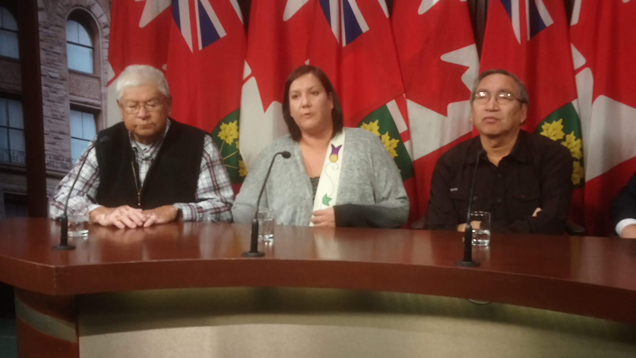 Grassy Narrows leaders call for action on mercury treatment centre