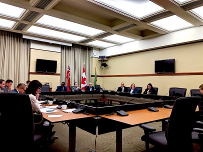 Opposition slams Ford government's 'closed-door' virtual budget consultations