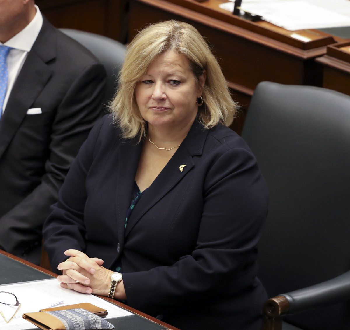 Regulator 'thrilled' about Ford government's planned veterinary services overhaul