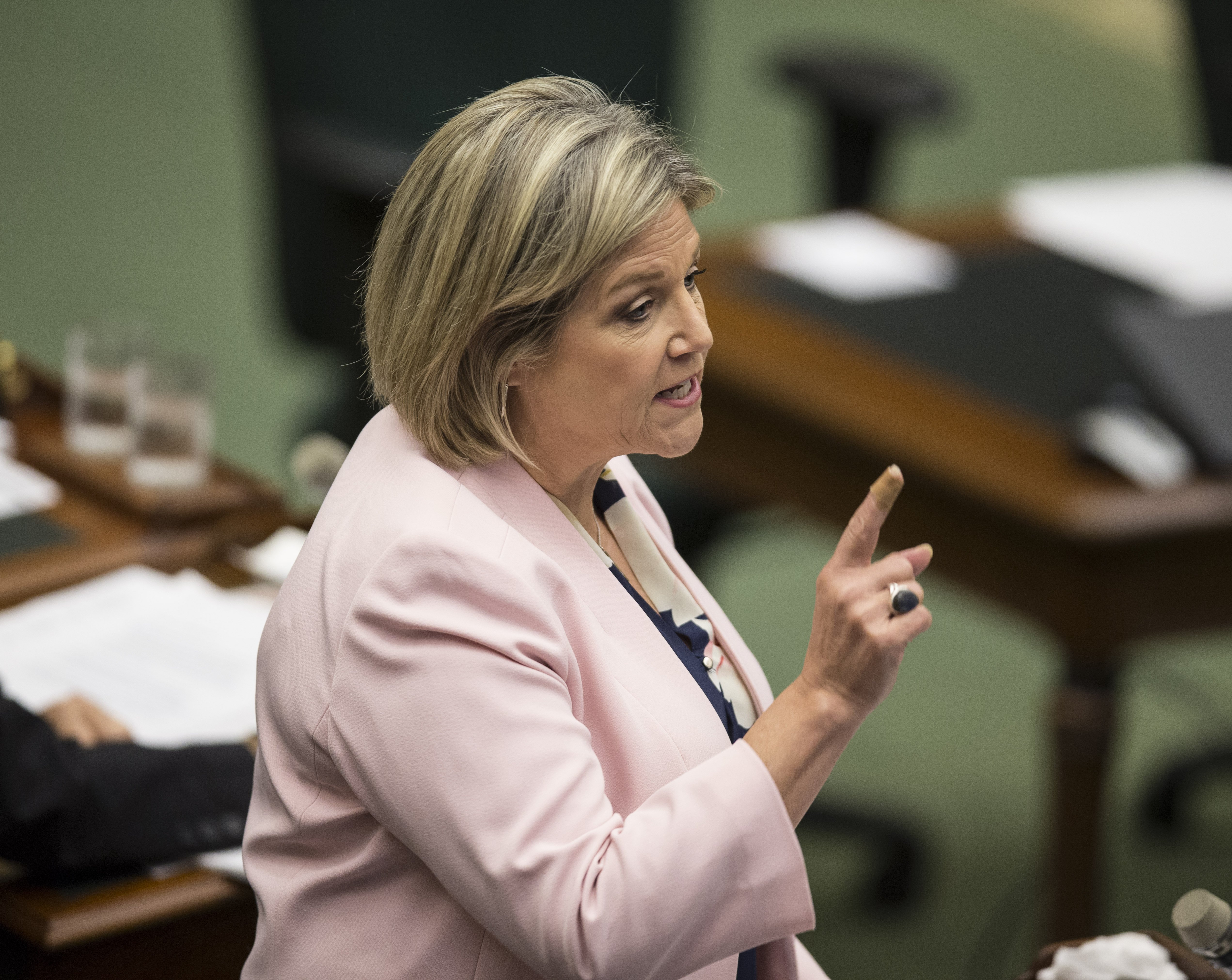 PC MPPs defeat NDP motion to end issuance of licences to private nursing homes