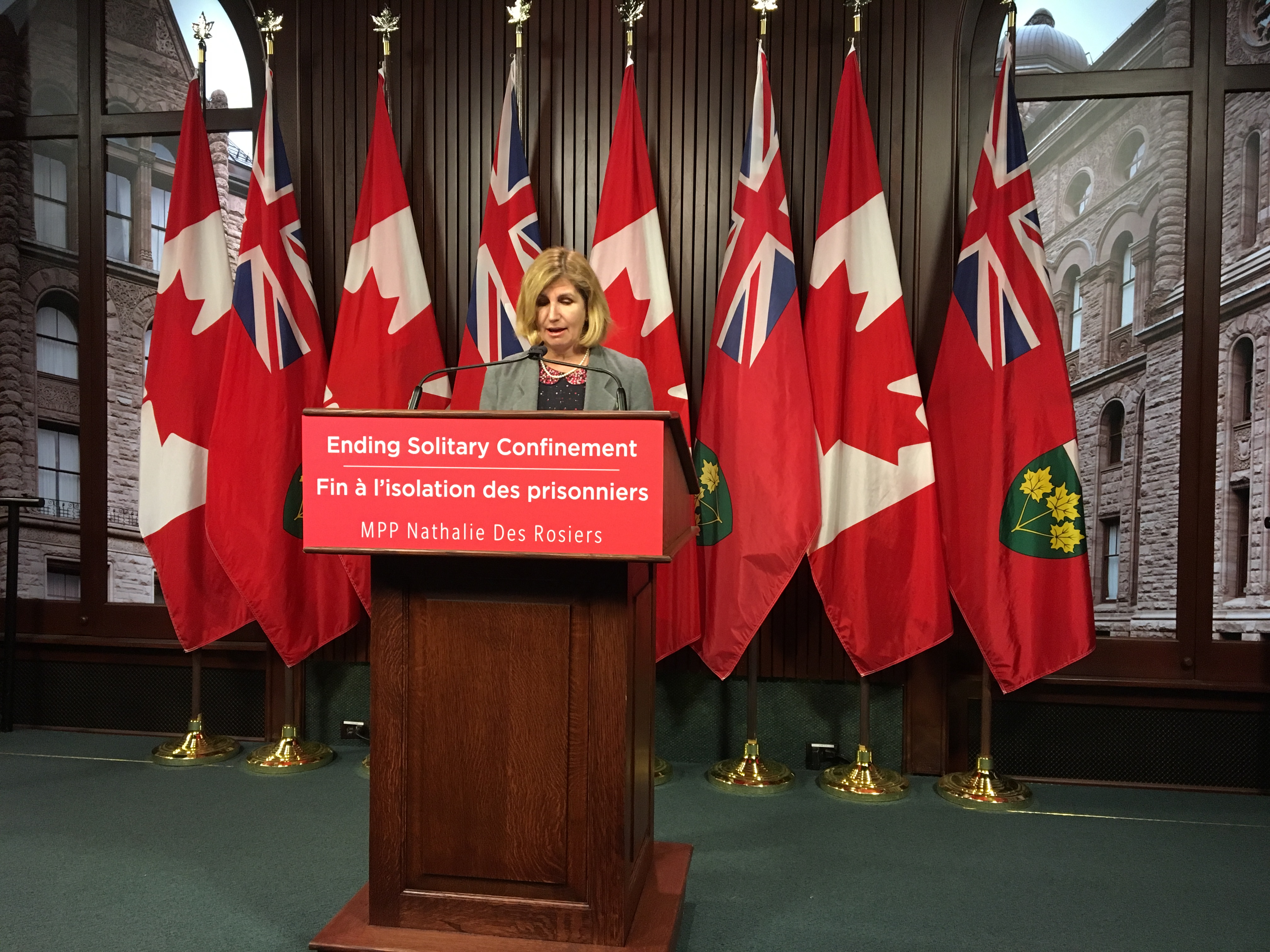 'A great adventure': Nathalie Des Rosiers reflects on life at Queen's Park and beyond