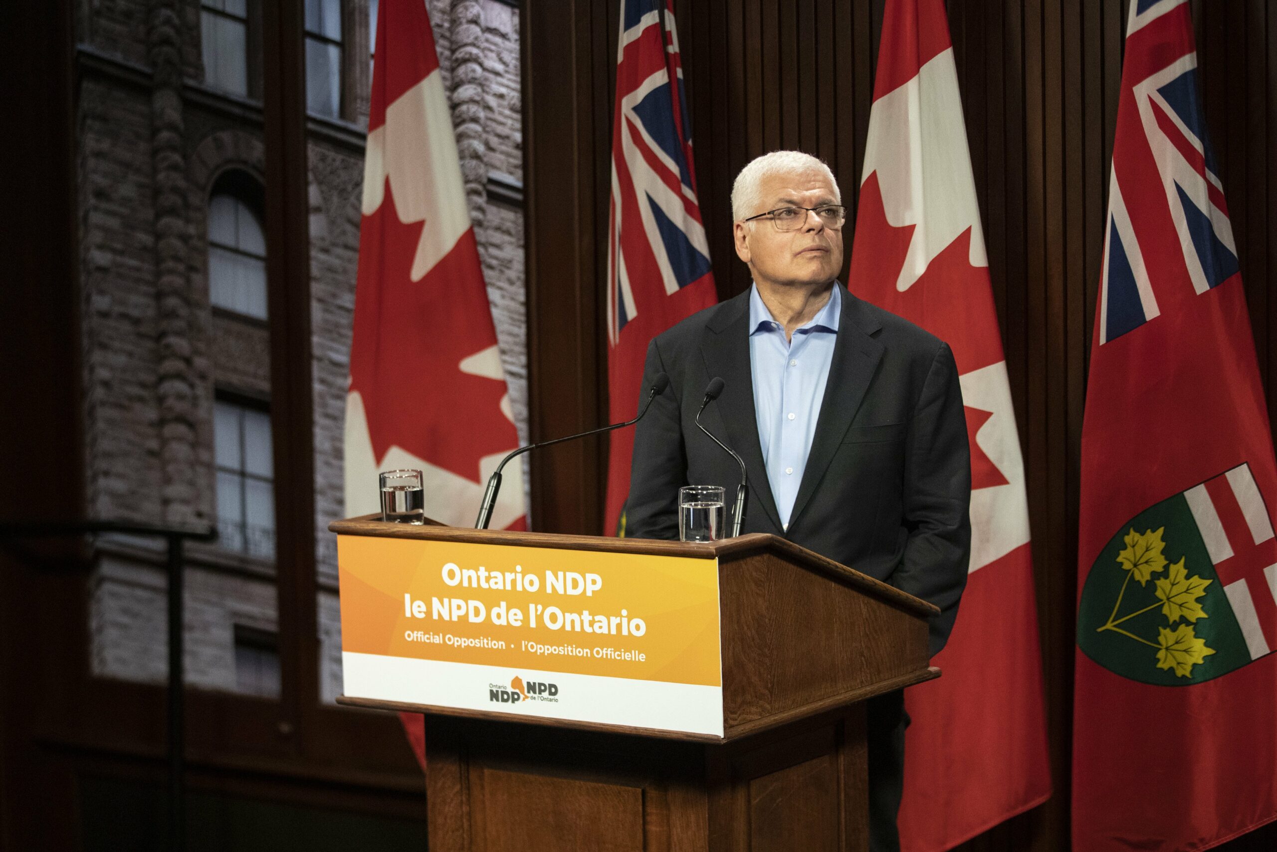 Draft NDP leadership contest rules leaked online