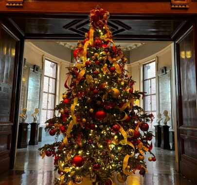 Ranking the 2022 Queen's Park Christmas trees